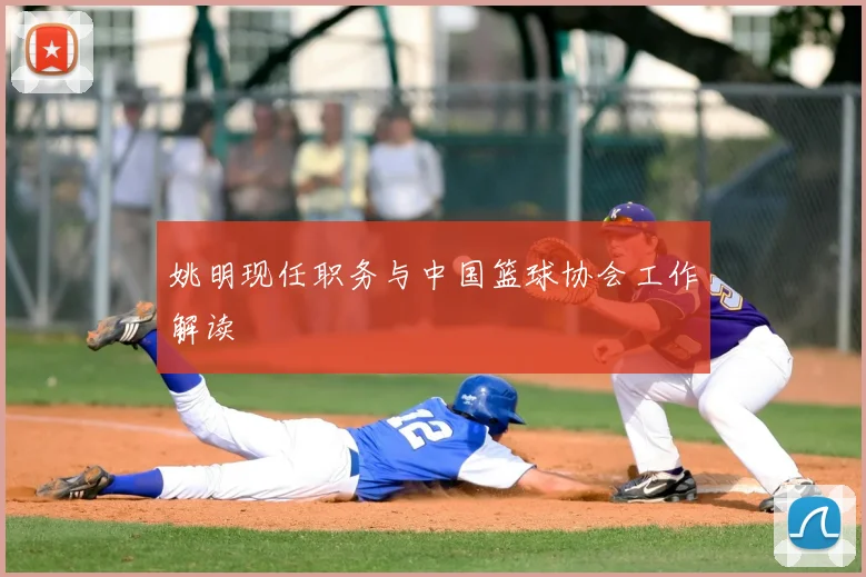 姚明现任职务与中国篮球协会工作解读