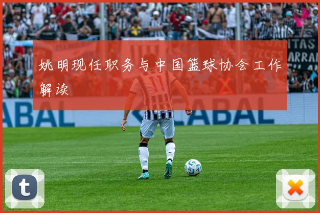 姚明现任职务与中国篮球协会工作解读