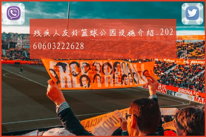 残疾人友好篮球公园设施介绍_20260603222628