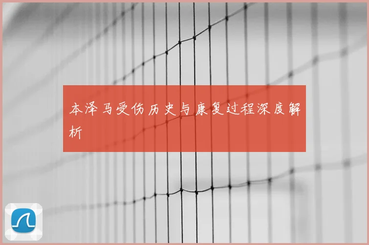本泽马受伤历史与康复过程深度解析