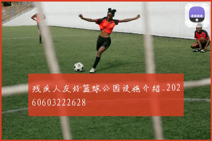 残疾人友好篮球公园设施介绍_20260603222628